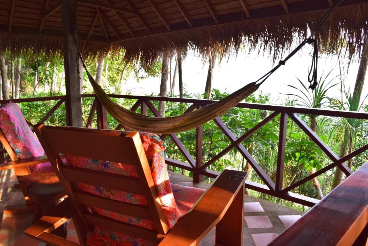 the narima acco